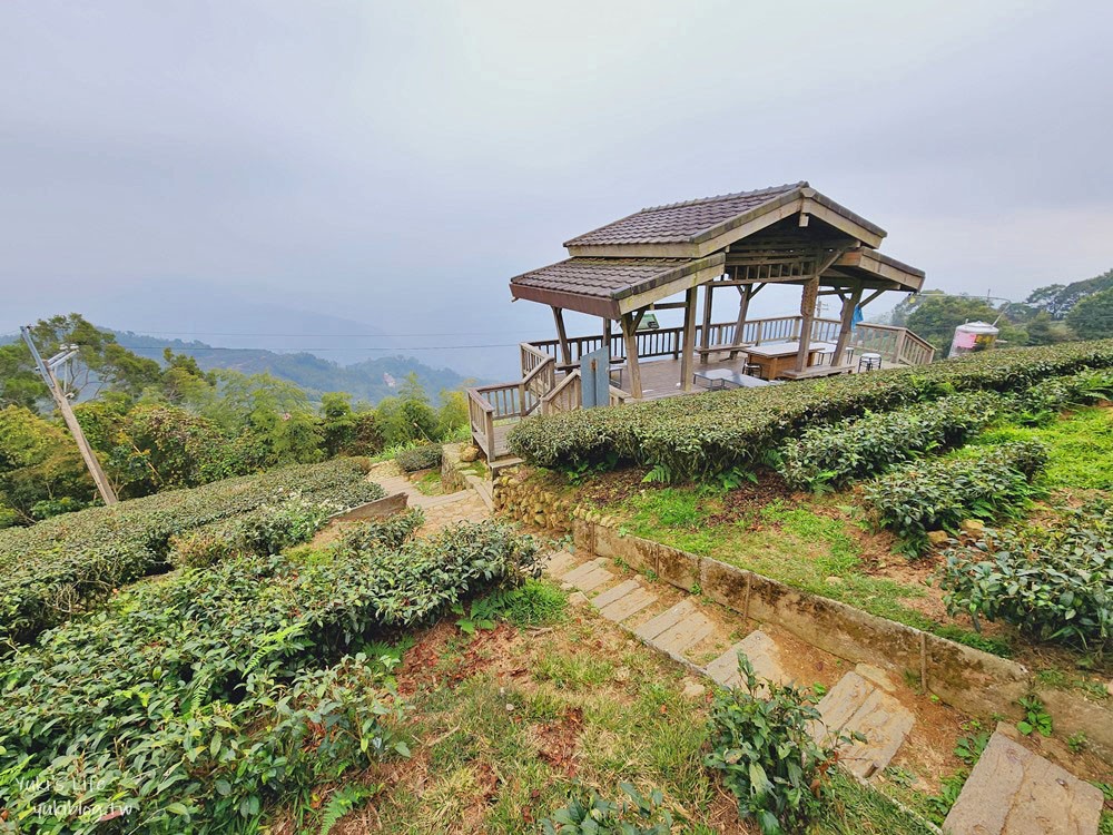 嘉義景點|二尖山步道|有嘉義抹茶山的稱號, 茶園木棧道10分鐘攻頂 - yuki.tw