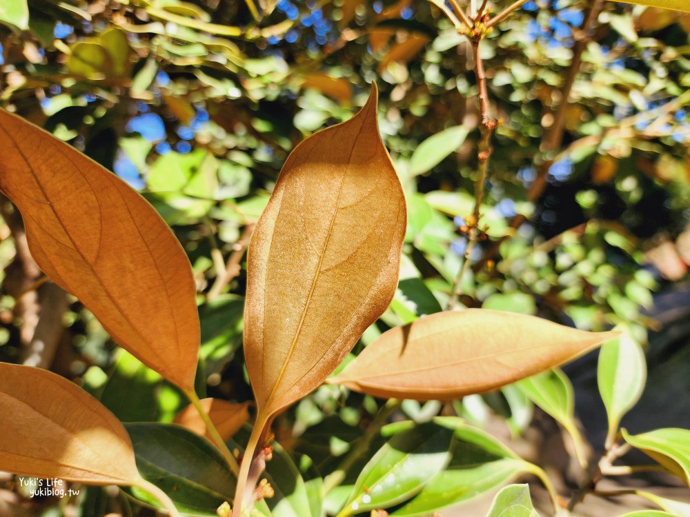 彰化溪州親子景點|彎彎滑森樂園(萬景藝苑)|華麗宮庭建築藏著兒童樂園~滑板車盡情溜~ - yuki.tw