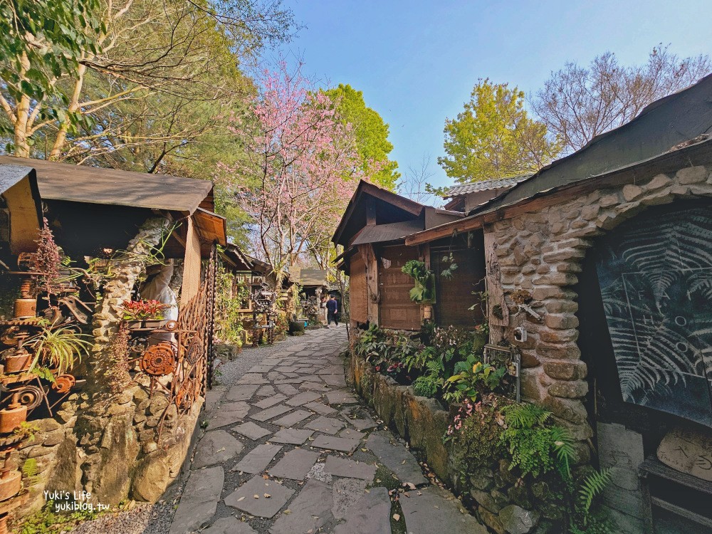 嘉義阿里山|阿將的家23咖啡館|秘境療癒貓咪,宮崎駿石頭屋 - yuki.tw