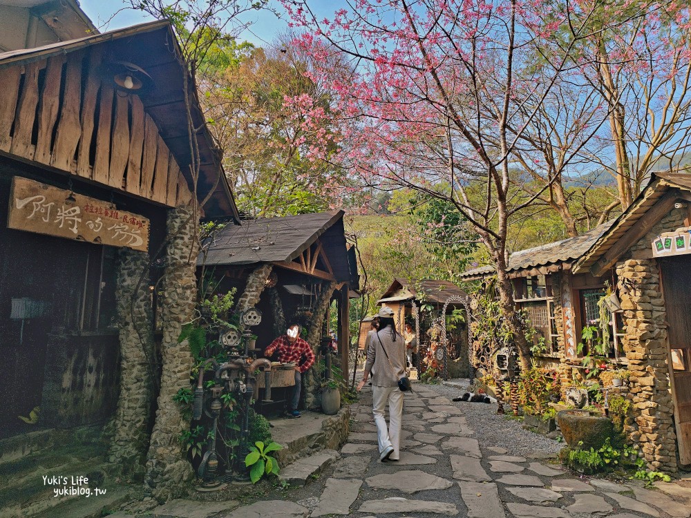 嘉義阿里山|阿將的家23咖啡館|秘境療癒貓咪,宮崎駿石頭屋 - yuki.tw