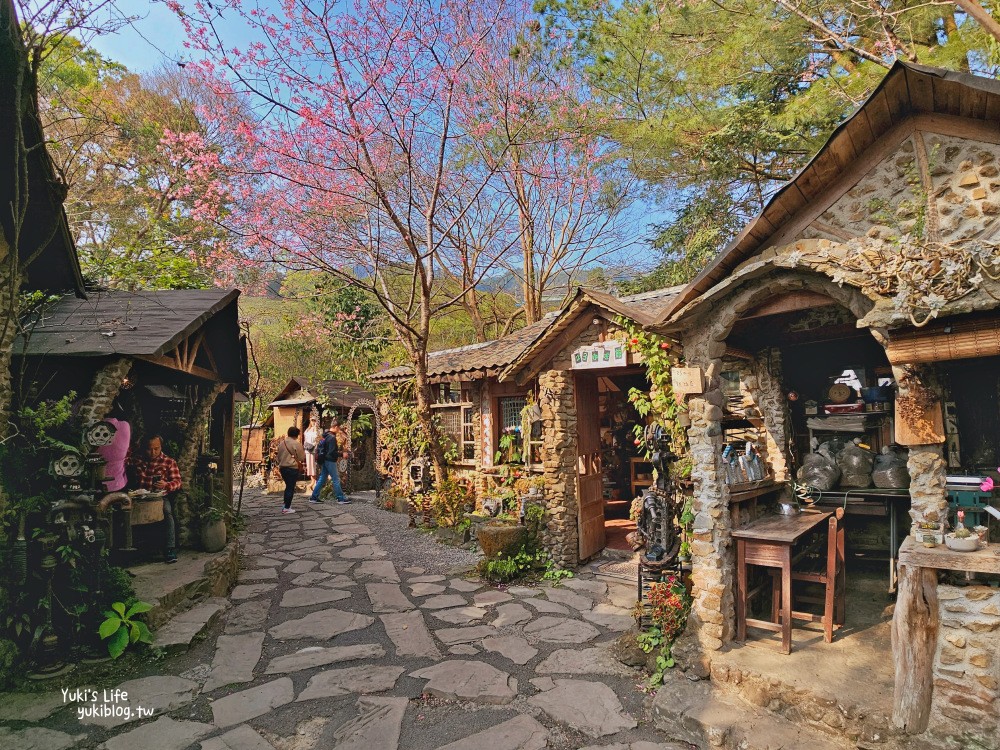 嘉義阿里山|阿將的家23咖啡館|秘境療癒貓咪,宮崎駿石頭屋 - yuki.tw