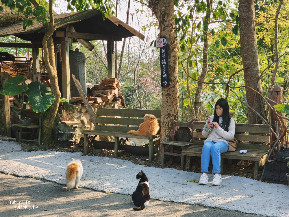 嘉義阿里山|阿將的家23咖啡館|秘境療癒貓咪,宮崎駿石頭屋 - yuki.tw