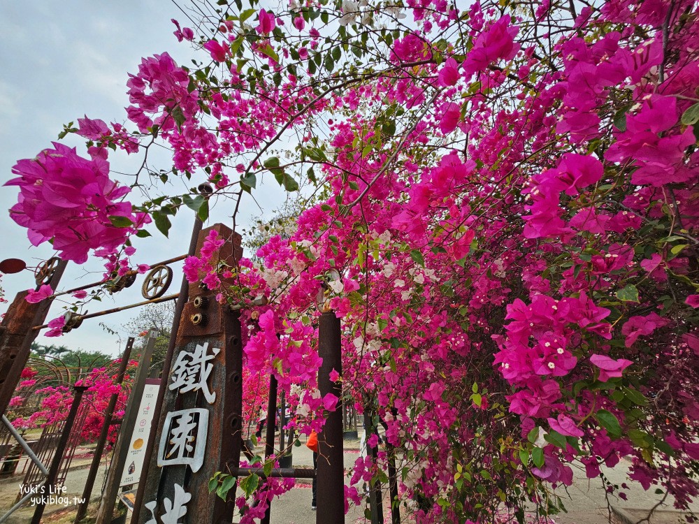 高雄橋頭糖廠》鐵園迷城九重葛盛開免費逛，鐵件機器人陪你賞花 - yuki.tw