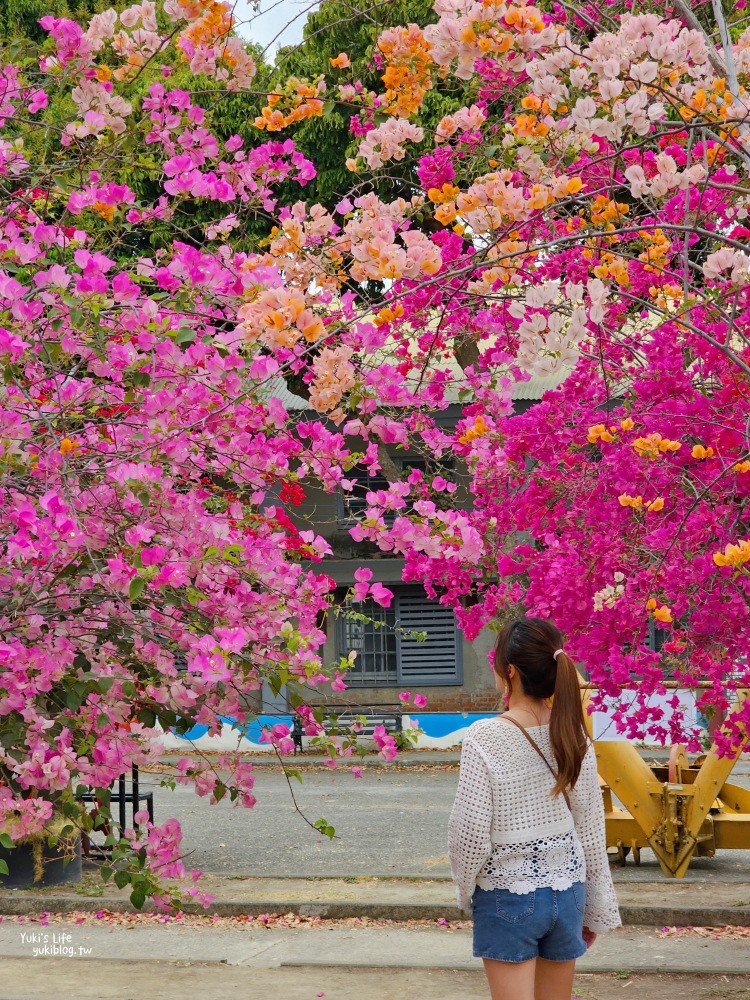 高雄橋頭糖廠》鐵園迷城九重葛盛開免費逛，鐵件機器人陪你賞花 - yuki.tw