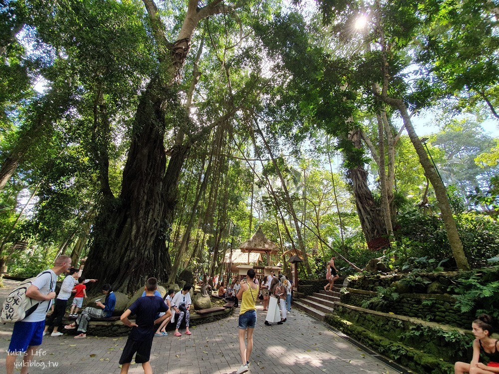 【峇里島烏布親子景點】聖猴森林公園(Ubud Monkey Forest)都是猴子讓你一路尖叫 - yuki.tw