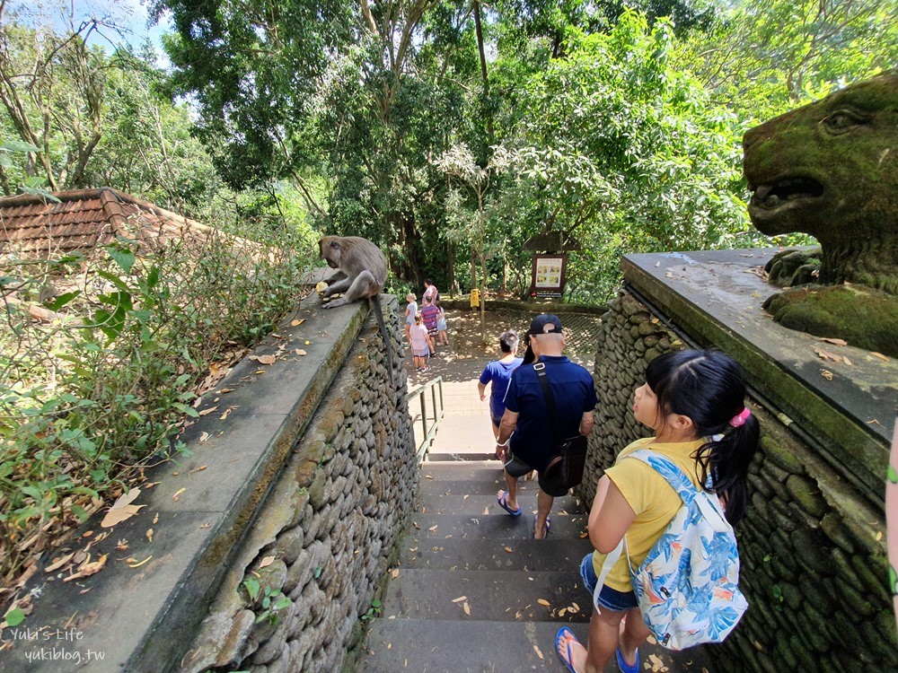 【峇里島烏布親子景點】聖猴森林公園(Ubud Monkey Forest)都是猴子讓你一路尖叫 - yuki.tw