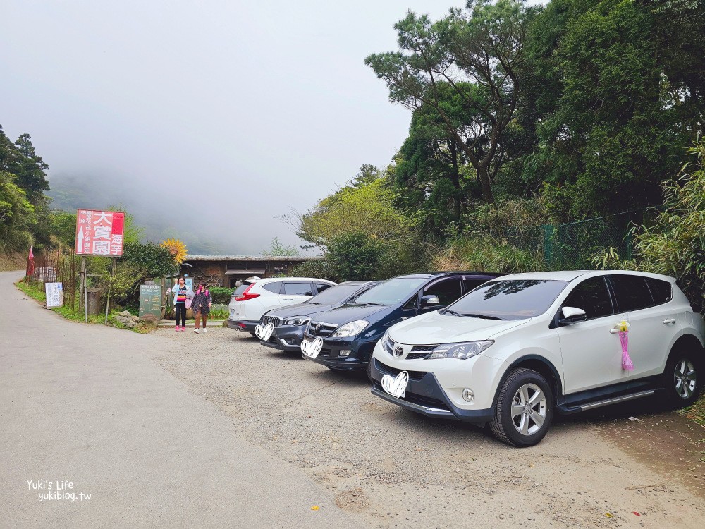 陽明山海芋季|名陽匍休閒農莊|竹子湖仙氣爆棚海芋園推薦！ - yuki.tw