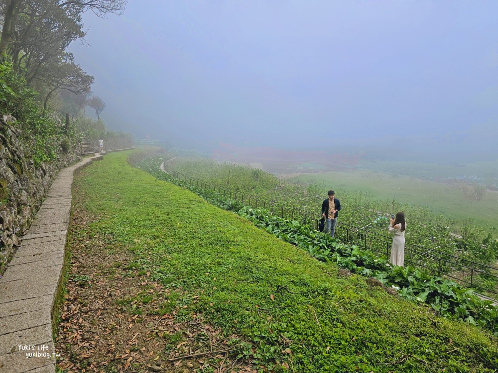 陽明山海芋季|名陽匍休閒農莊|竹子湖仙氣爆棚海芋園推薦！ - yuki.tw