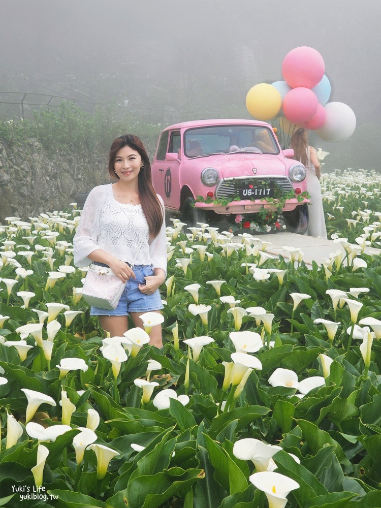 陽明山海芋季|名陽匍休閒農莊|竹子湖仙氣爆棚海芋園推薦！ - yuki.tw