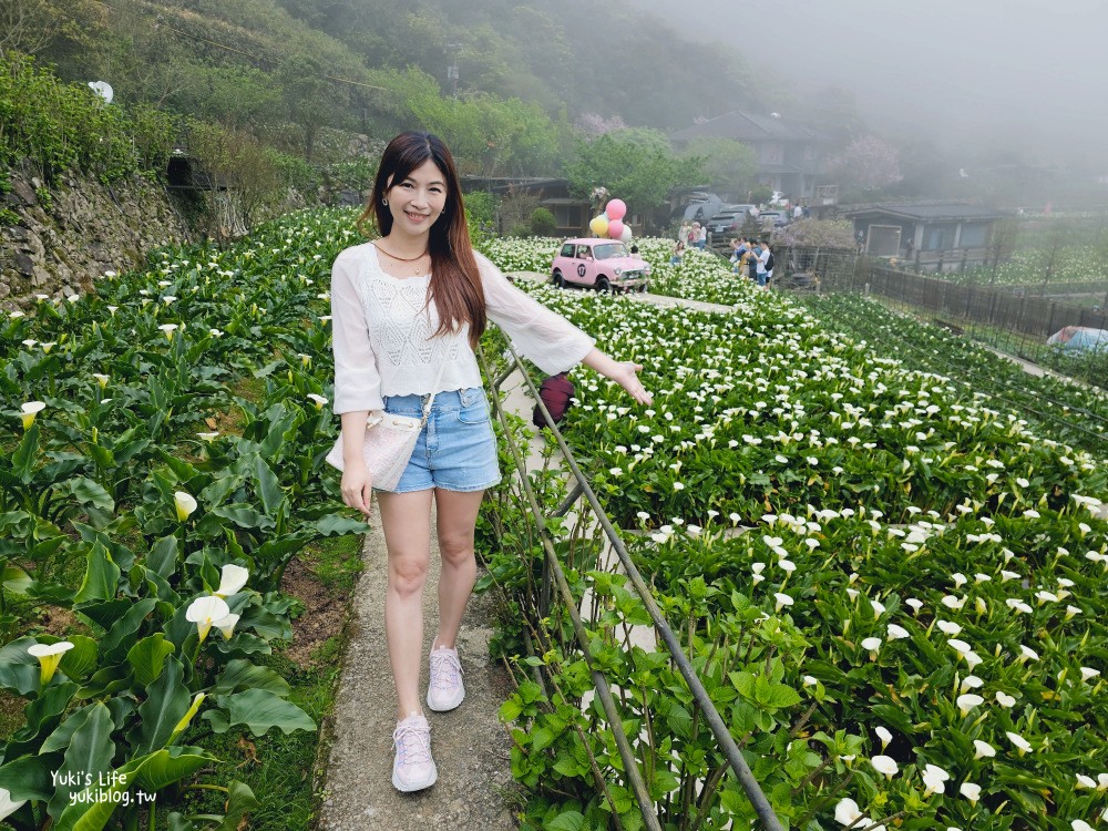 陽明山海芋季|名陽匍休閒農莊|竹子湖仙氣爆棚海芋園推薦！ - yuki.tw