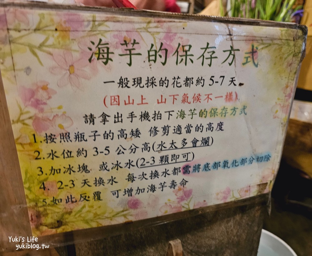 陽明山海芋季|名陽匍休閒農莊|竹子湖仙氣爆棚海芋園推薦！ - yuki.tw