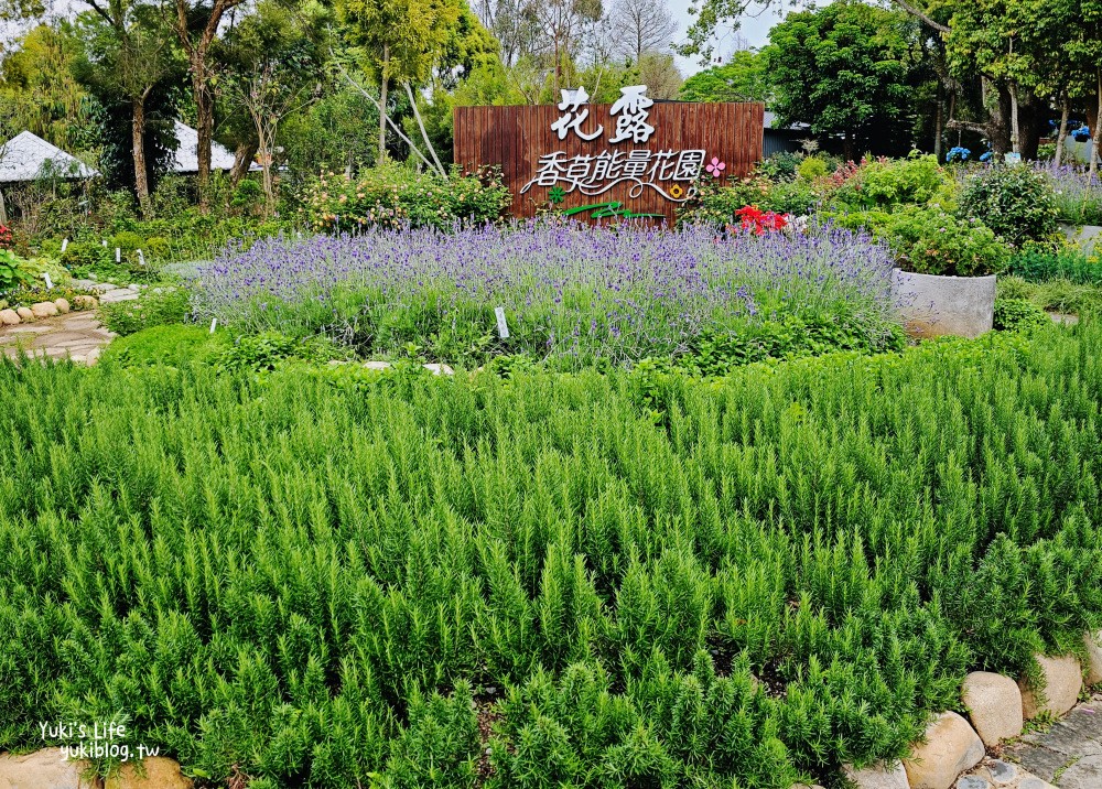 苗栗》花露農場繡球花季登場！升級2.0藍色繡球花拱門、波波球、貓頭鷹樹屋花淇淋 - yuki.tw