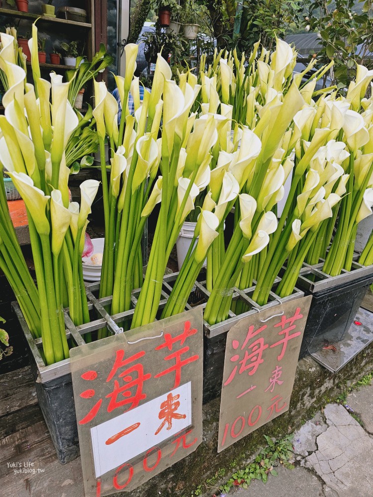 陽明山美食》竹子湖故鄉海芋農園餐廳，招牌白斬雞必點，免費停車好方便 - yuki.tw