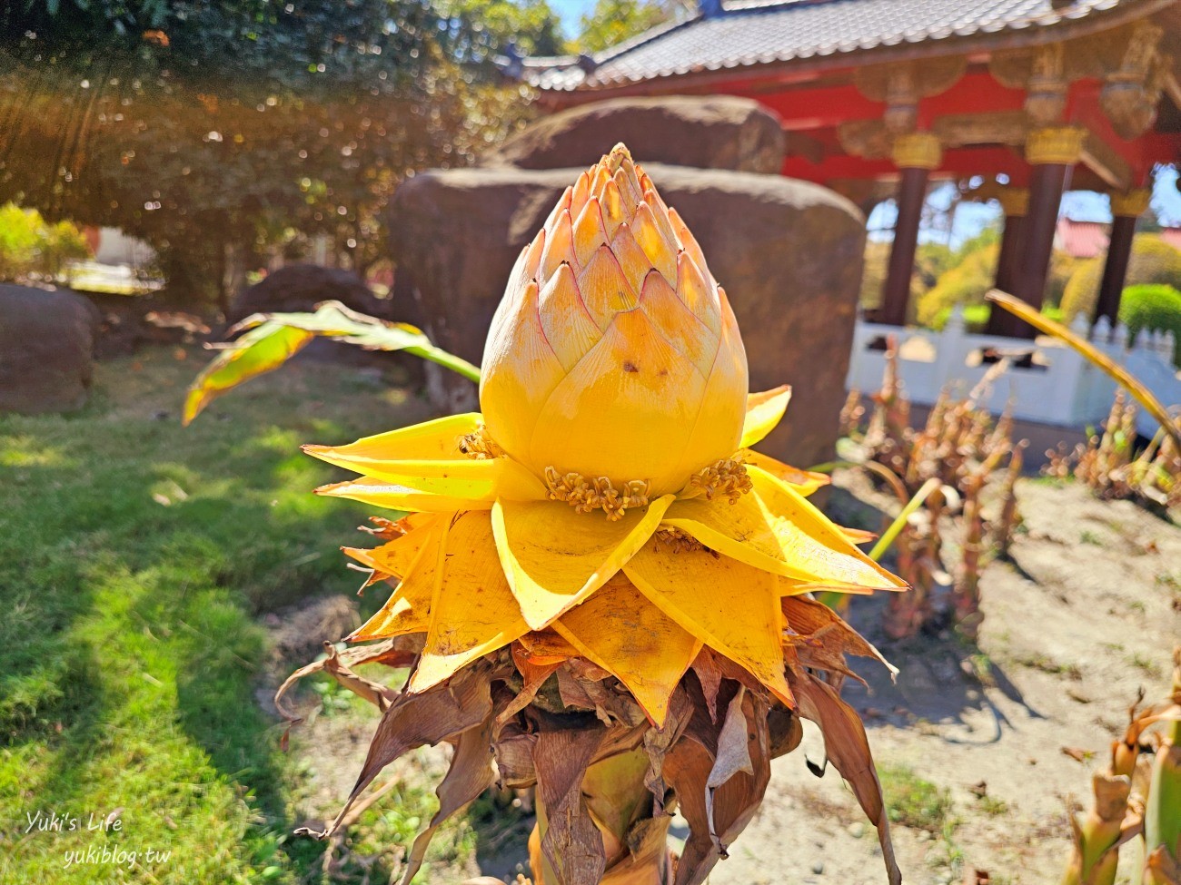 彰化溪州親子景點|彎彎滑森樂園(萬景藝苑)|華麗宮庭建築藏著兒童樂園~滑板車盡情溜~ - yuki.tw