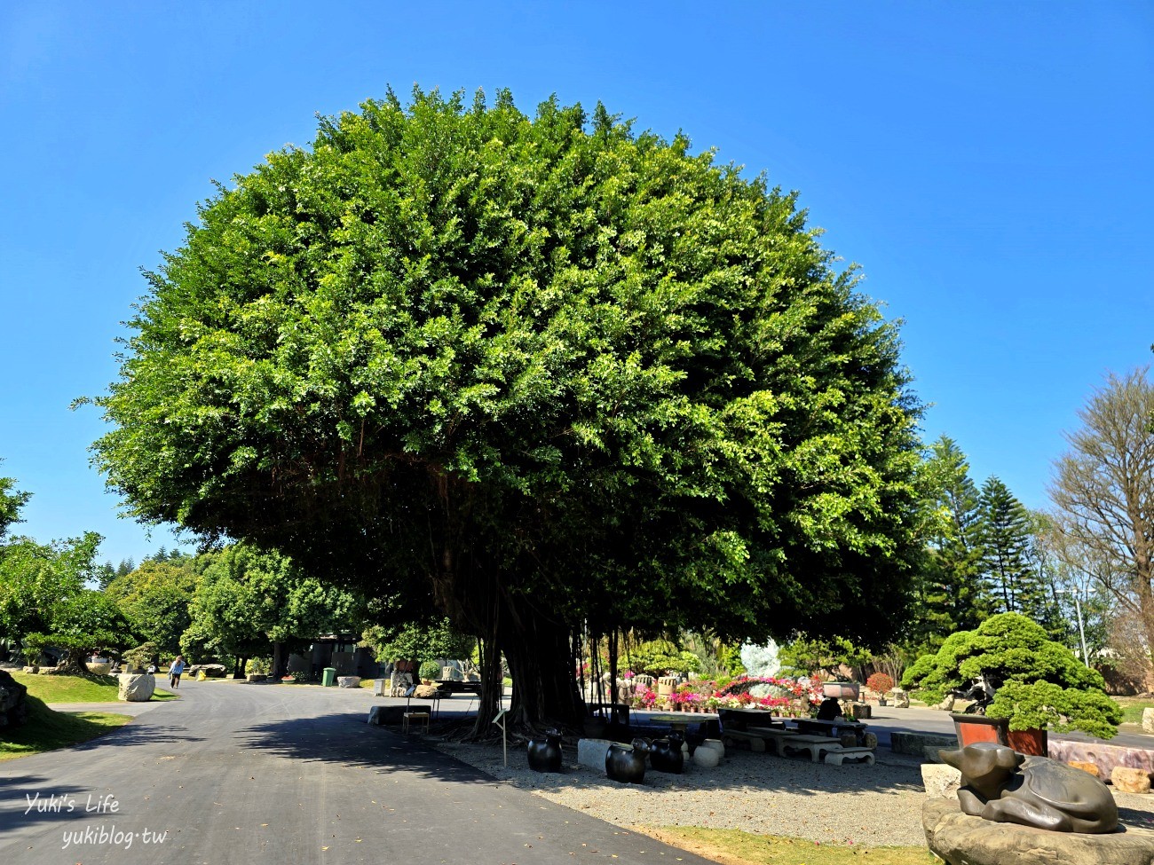 彰化溪州親子景點|彎彎滑森樂園(萬景藝苑)|華麗宮庭建築藏著兒童樂園~滑板車盡情溜~ - yuki.tw