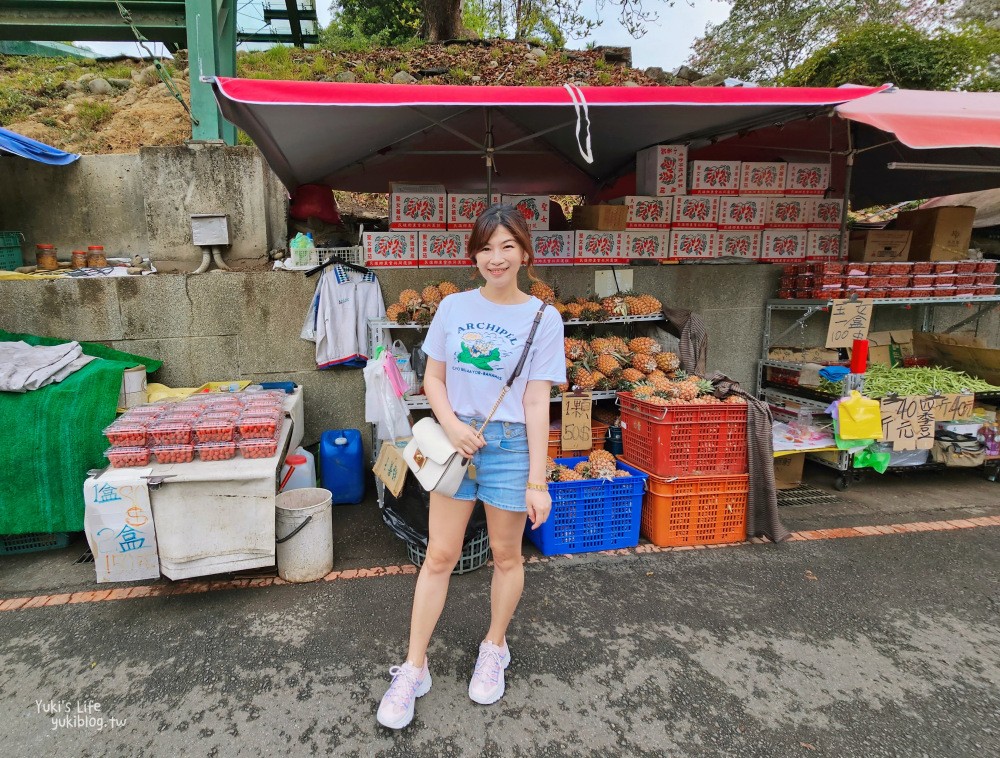 台中大坑景點》大坑九號步道，平緩輕鬆好攻略，農夫市集一路吃吃喝喝太好玩～ - yuki.tw