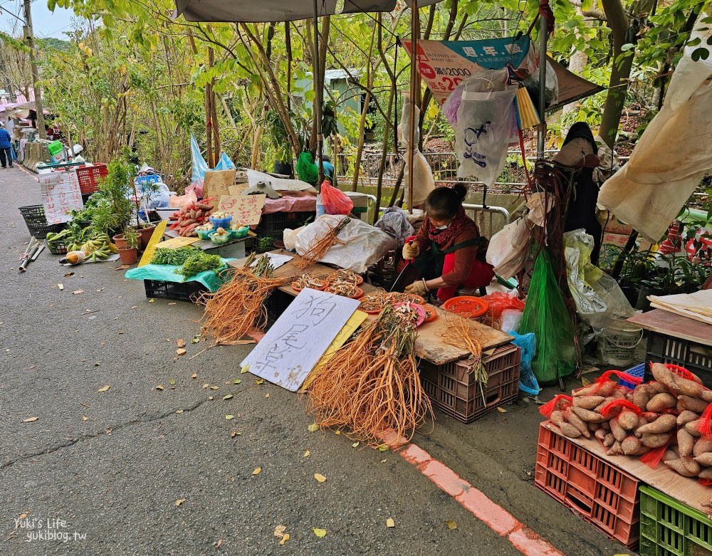 台中大坑景點》大坑九號步道，平緩輕鬆好攻略，農夫市集一路吃吃喝喝太好玩～ - yuki.tw