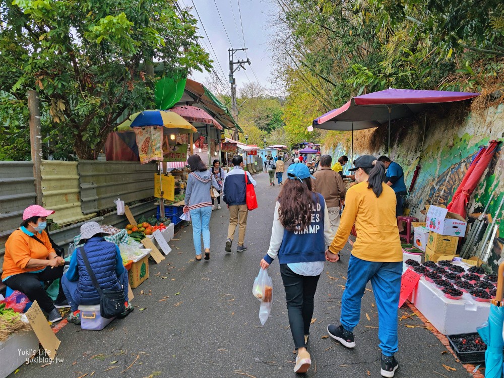 台中大坑景點》大坑九號步道，平緩輕鬆好攻略，農夫市集一路吃吃喝喝太好玩～ - yuki.tw