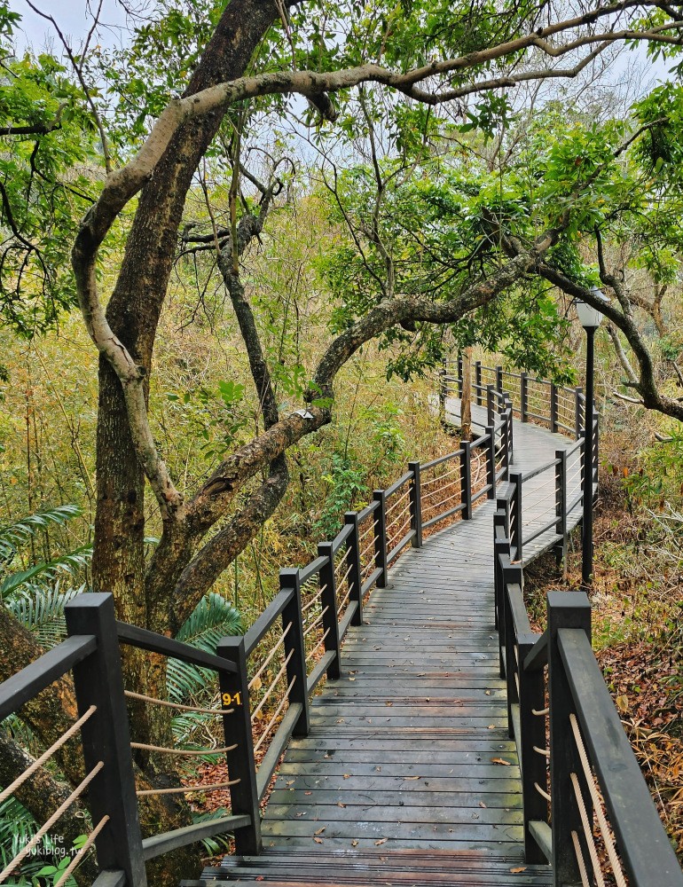 台中大坑景點》大坑九號步道，平緩輕鬆好攻略，農夫市集一路吃吃喝喝太好玩～ - yuki.tw