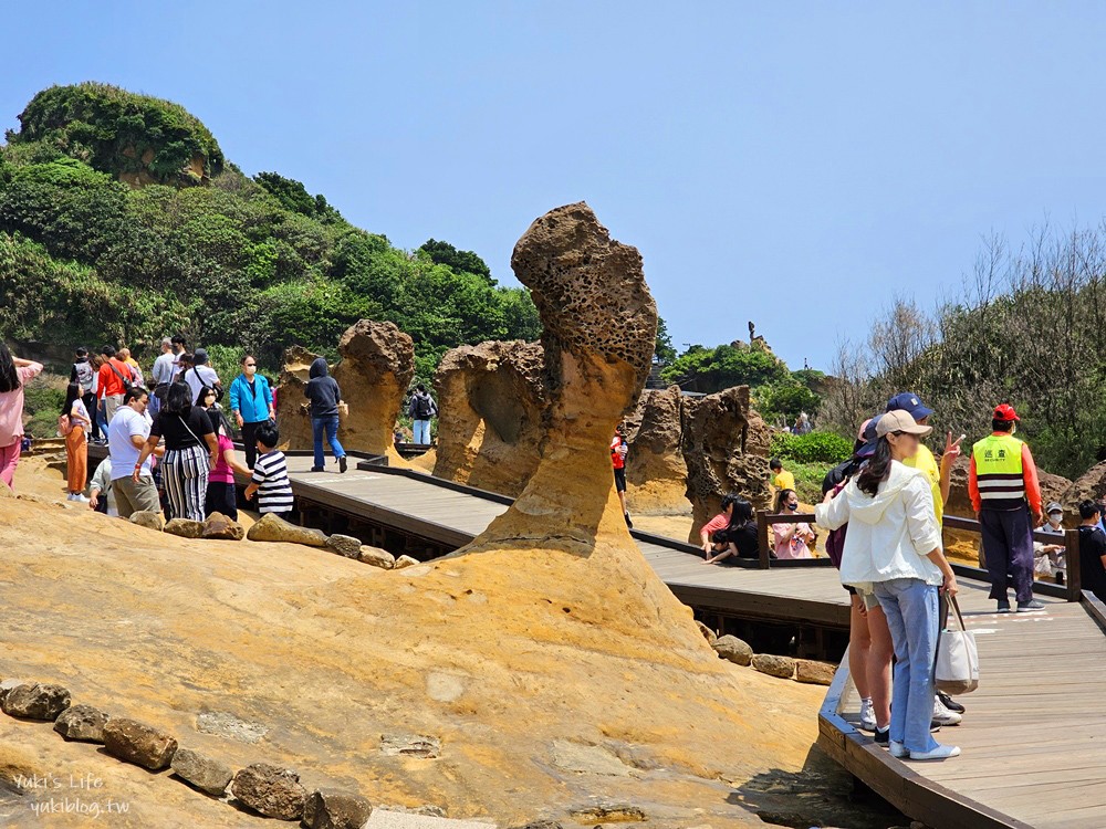 【新北景點】野柳地質公園，北海岸必訪親子景點，一探女王頭和俏皮公主的風采 - yuki.tw