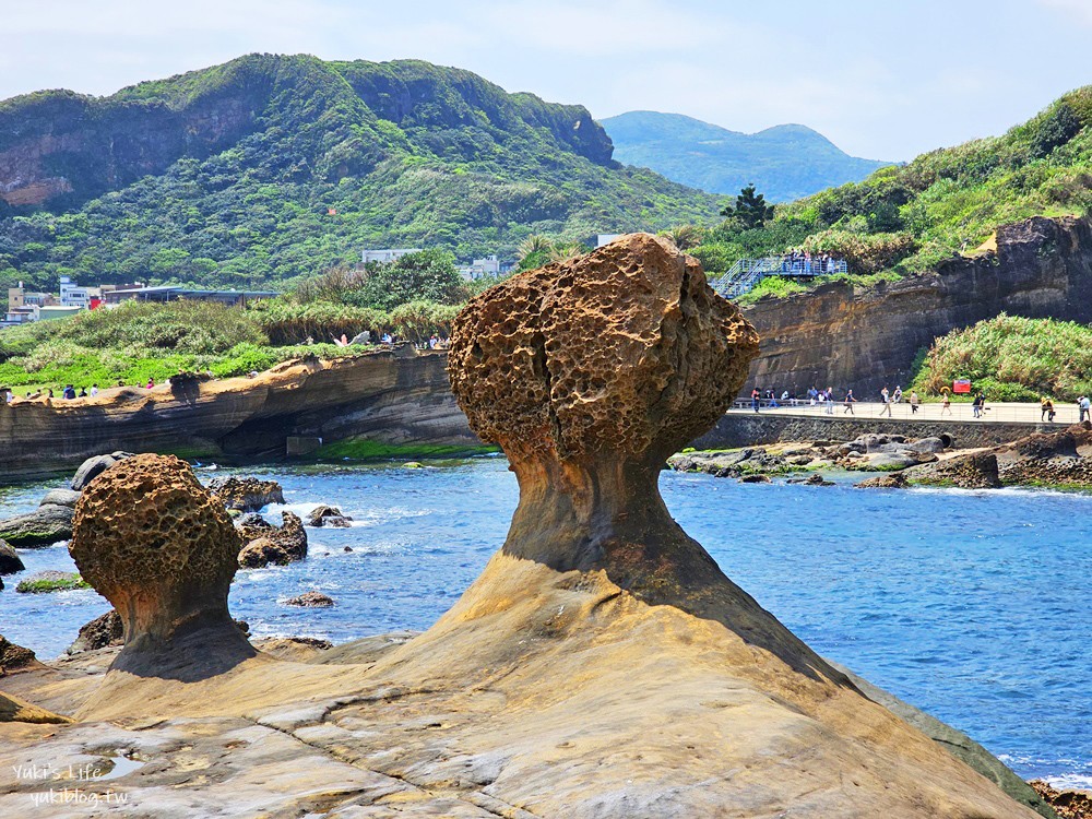 【新北景點】野柳地質公園，北海岸必訪親子景點，一探女王頭和俏皮公主的風采 - yuki.tw