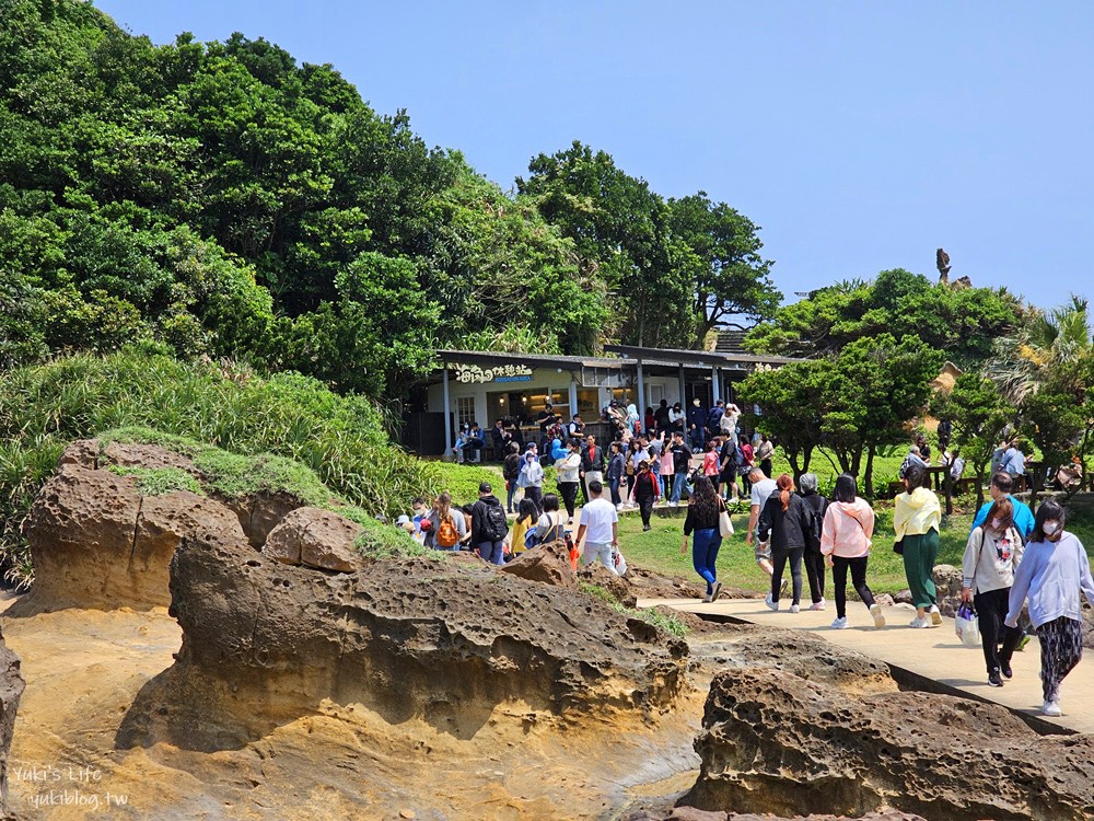 【新北景點】野柳地質公園，北海岸必訪親子景點，一探女王頭和俏皮公主的風采 - yuki.tw