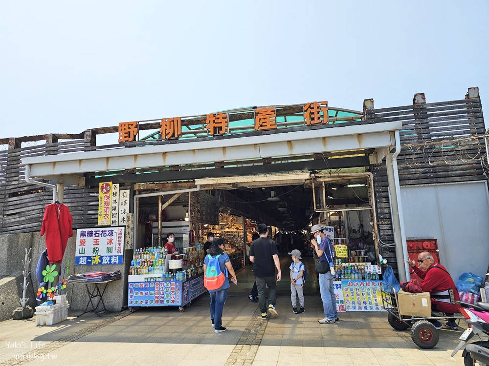 【新北景點】野柳地質公園，北海岸必訪親子景點，一探女王頭和俏皮公主的風采 - yuki.tw