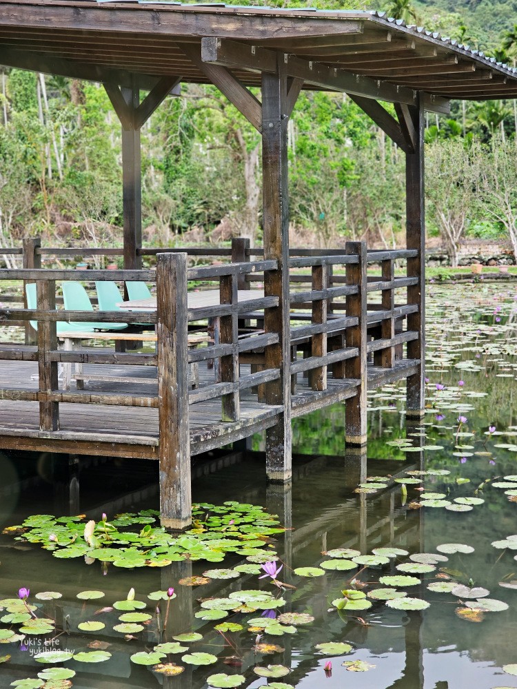 【花蓮吉安景點】蓮城蓮花園，免費入園招待整壺蓮花茶，適合親子還能餵魚 - yuki.tw