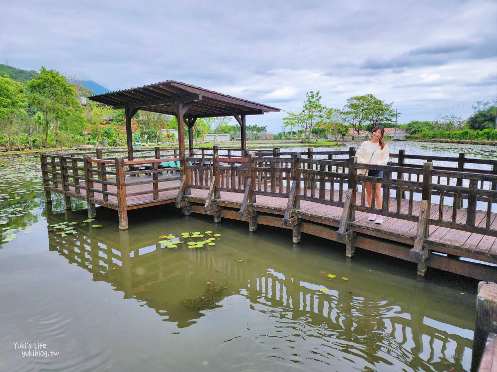 【花蓮吉安景點】蓮城蓮花園，免費入園招待整壺蓮花茶，適合親子還能餵魚 - yuki.tw