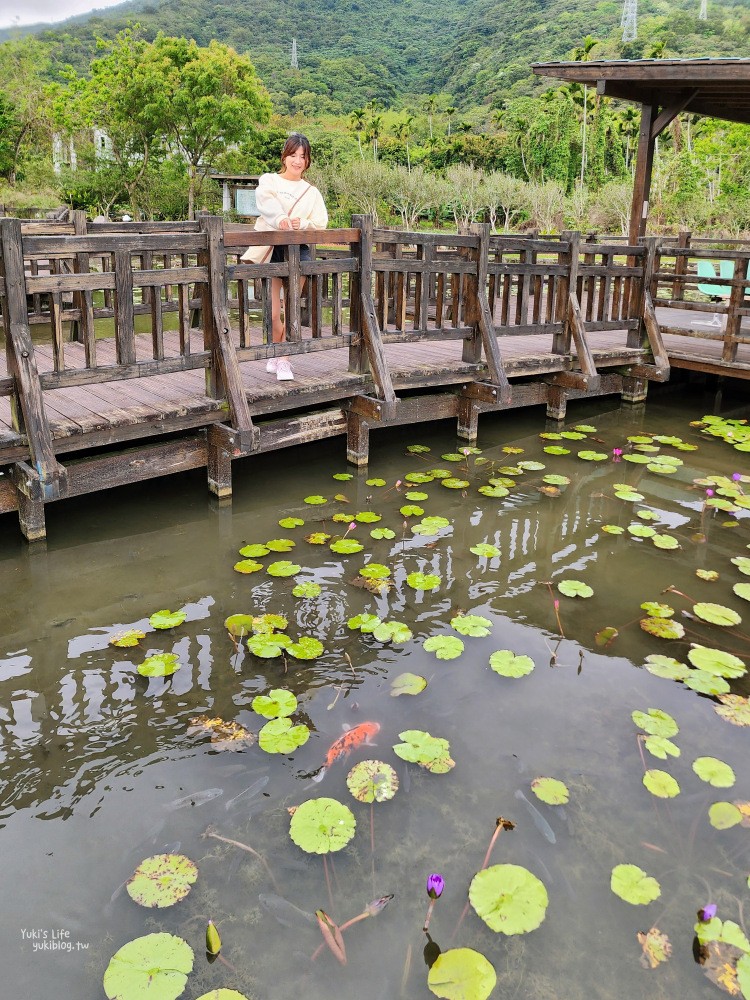 【花蓮吉安景點】蓮城蓮花園，免費入園招待整壺蓮花茶，適合親子還能餵魚 - yuki.tw