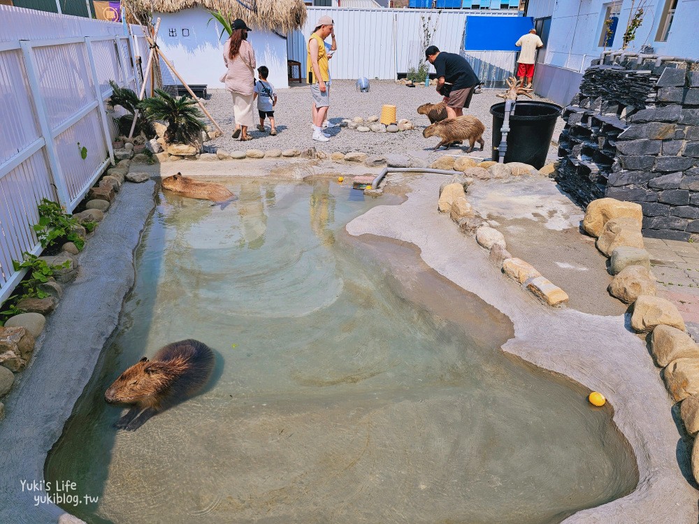 墾丁鹿ㄦ島水豚生態園區，以為來到東京淺草雷門！門票多少錢？ - yuki.tw