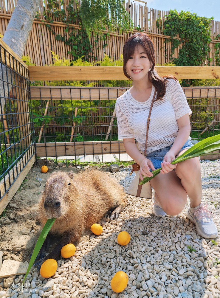 墾丁鹿ㄦ島水豚生態園區，以為來到東京淺草雷門！門票多少錢？ - yuki.tw