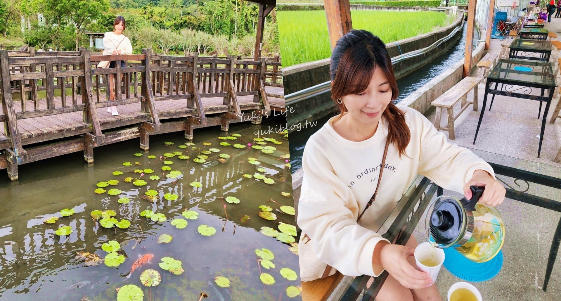 【花蓮吉安景點】蓮城蓮花園，免費入園招待整壺蓮花茶，適合親子還能餵魚