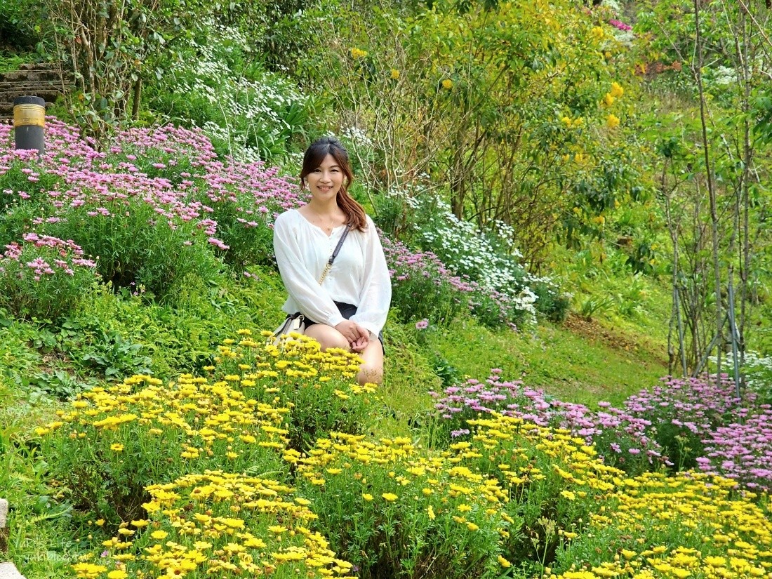 【台中新社景點】桃李河畔森林景觀餐廳，超美森林系景點，悠閒賞花喝下午茶 - yuki.tw