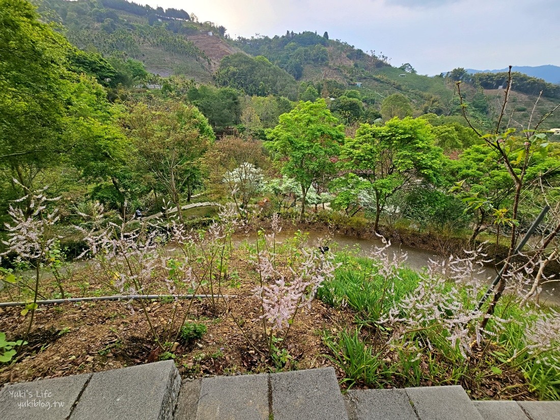 【台中新社景點】桃李河畔森林景觀餐廳，超美森林系景點，悠閒賞花喝下午茶 - yuki.tw