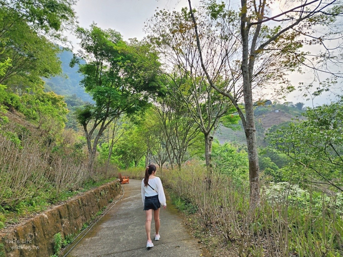 【台中新社景點】桃李河畔森林景觀餐廳，超美森林系景點，悠閒賞花喝下午茶 - yuki.tw