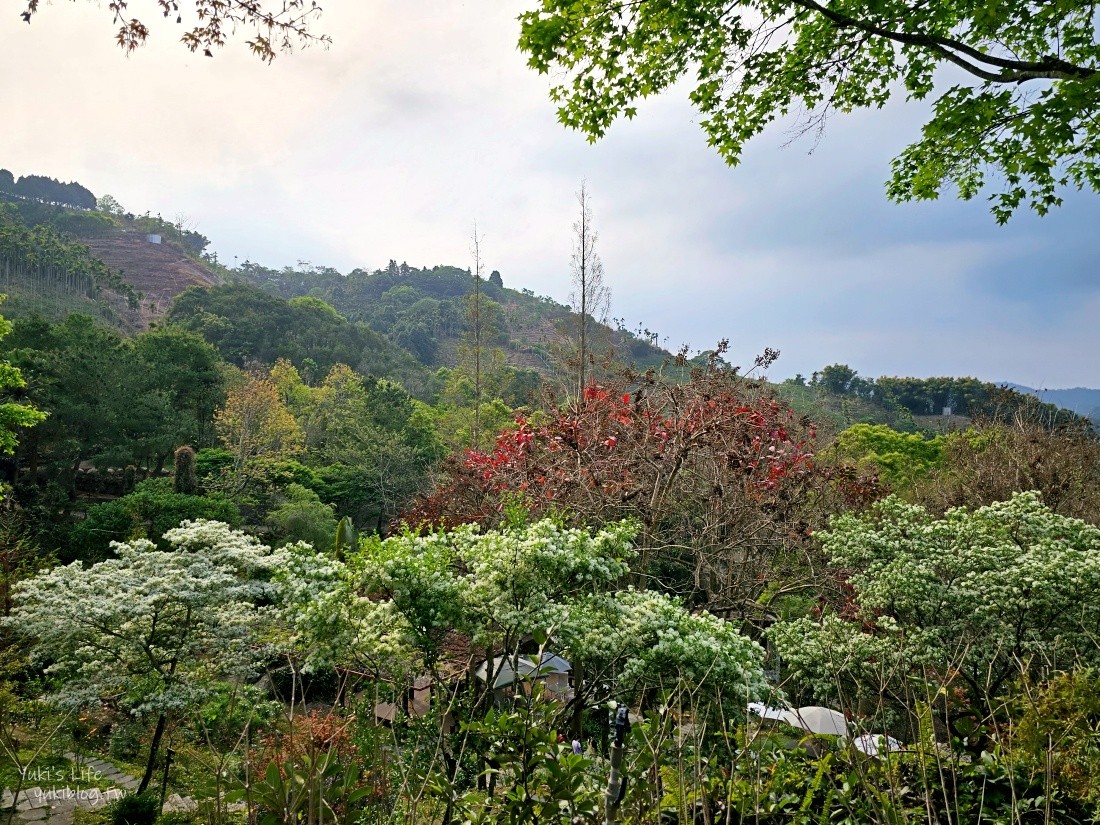 【台中新社景點】桃李河畔森林景觀餐廳，超美森林系景點，悠閒賞花喝下午茶 - yuki.tw