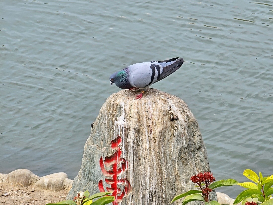 【高雄左營景點】北極玄天上帝，蓮池潭風景區水上巨型神像「元帝廟」 - yuki.tw