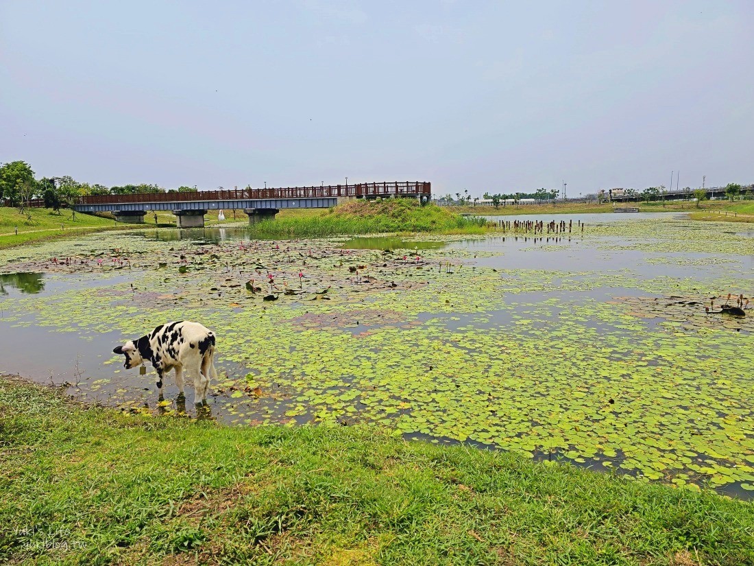 【屏東潮州景點】潮州鐵道園區,迷你版京都鐵道博物館,小火車和動物湖畔景觀咖啡~超推薦親子景點 - yuki.tw