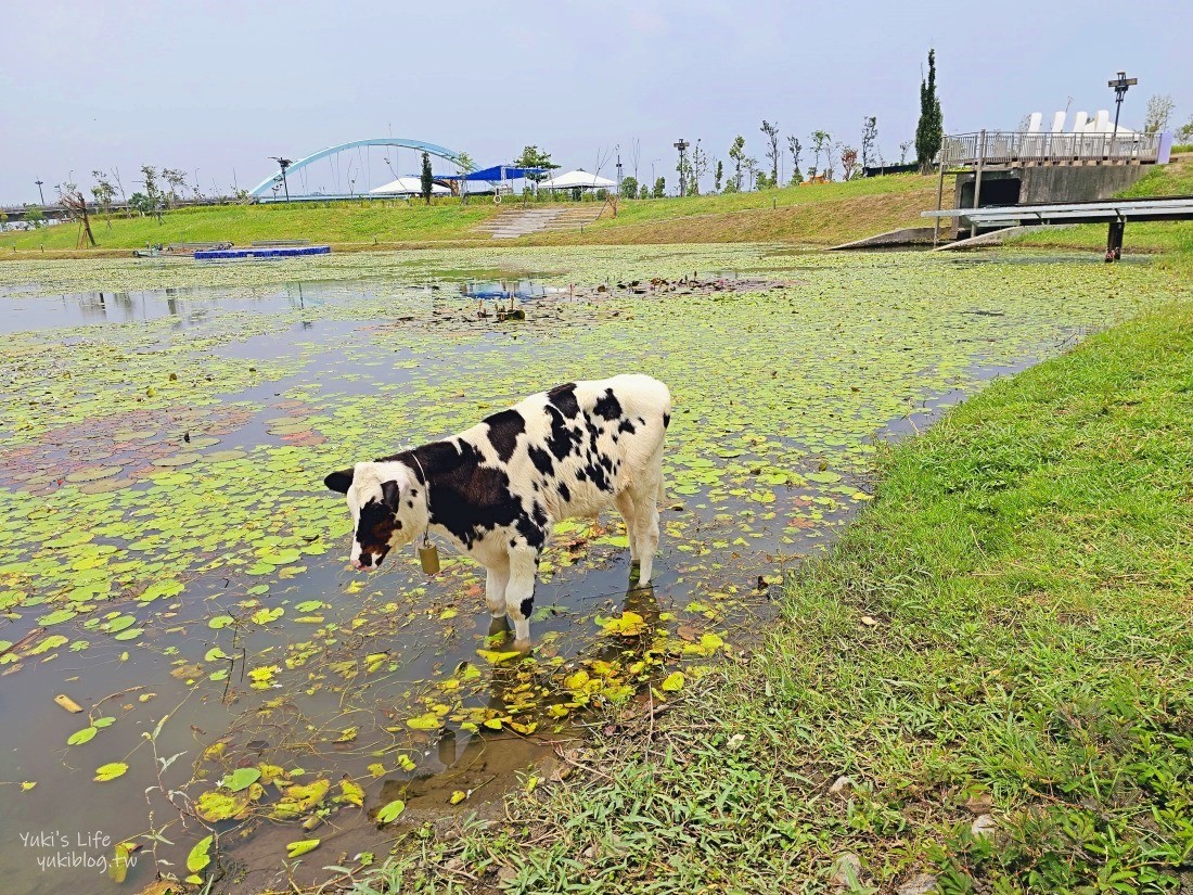 【屏東潮州景點】潮州鐵道園區,迷你版京都鐵道博物館,小火車和動物湖畔景觀咖啡~超推薦親子景點 - yuki.tw