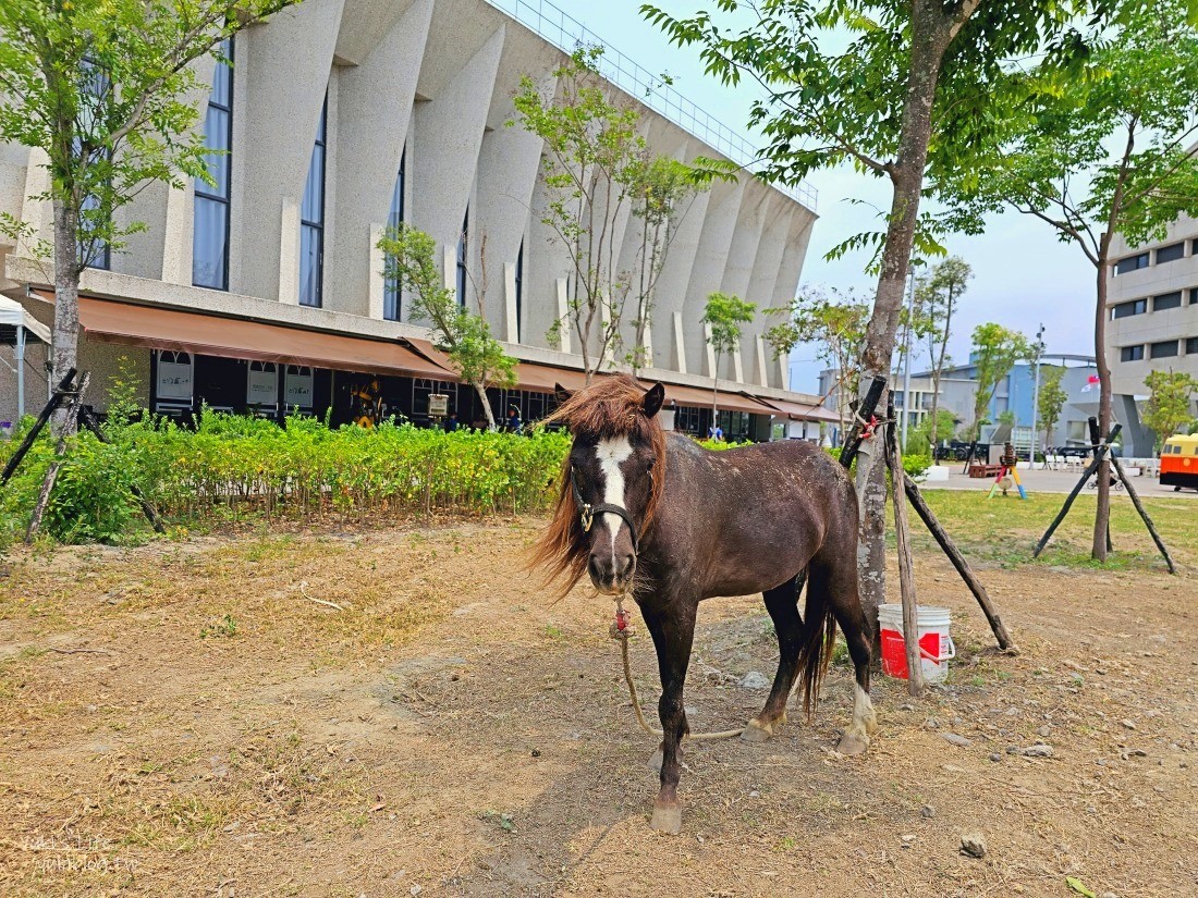 【屏東潮州景點】潮州鐵道園區,迷你版京都鐵道博物館,小火車和動物湖畔景觀咖啡~超推薦親子景點 - yuki.tw