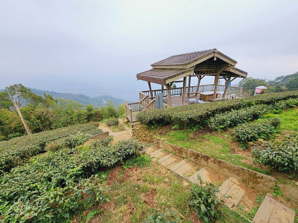 【嘉義梅山景點】二尖山休閒茶園景觀餐廳，必吃苦茶油雞和脆皮豆腐 - yuki.tw