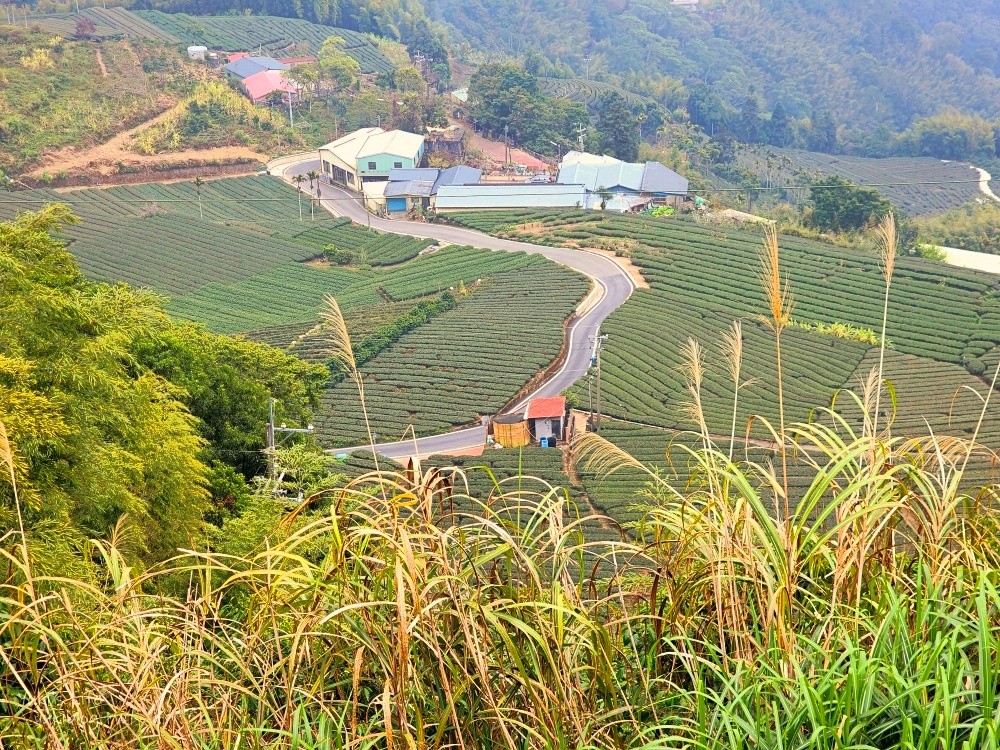 【嘉義梅山景點】二尖山休閒茶園景觀餐廳，必吃苦茶油雞和脆皮豆腐 - yuki.tw