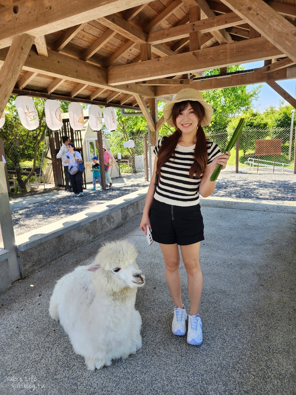 宜蘭綠舞日式主題園區，美拍日式庭園親子景點，萌萌水豚君.草泥馬.梅花鹿 - yuki.tw