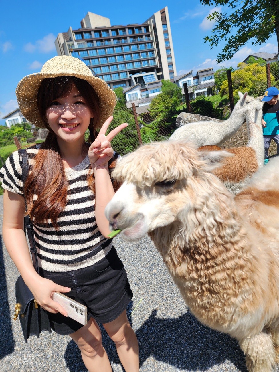 宜蘭綠舞日式主題園區，美拍日式庭園親子景點，萌萌水豚君.草泥馬.梅花鹿 - yuki.tw