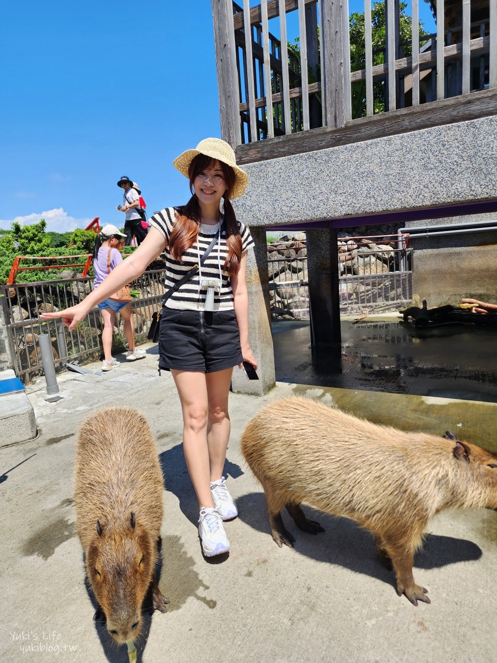 宜蘭綠舞日式主題園區，美拍日式庭園親子景點，萌萌水豚君.草泥馬.梅花鹿 - yuki.tw