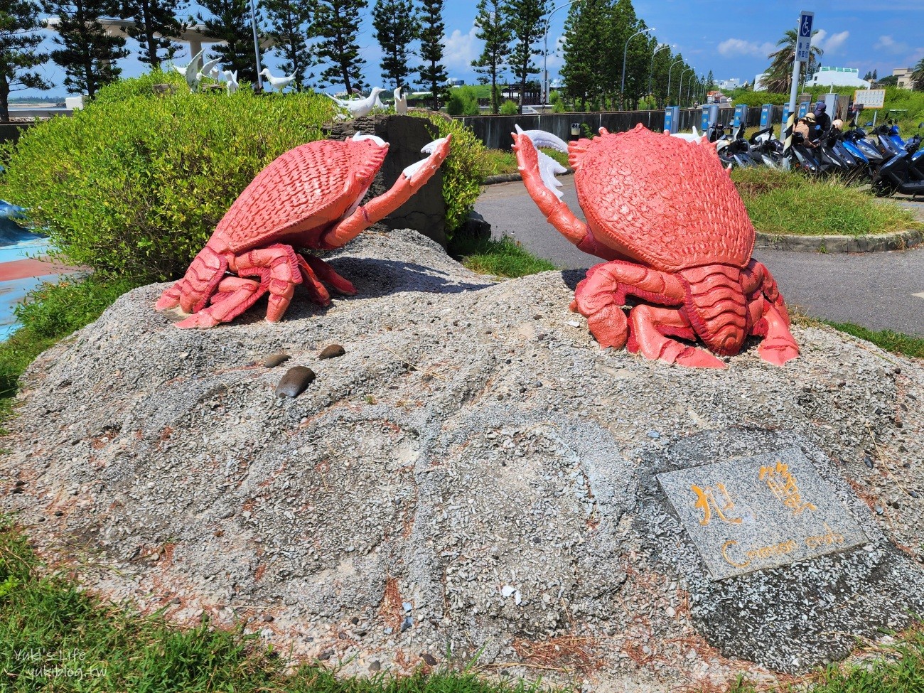 澎湖水族館》澎湖室內親子景點推薦必訪~門票・超值套票 - yuki.tw