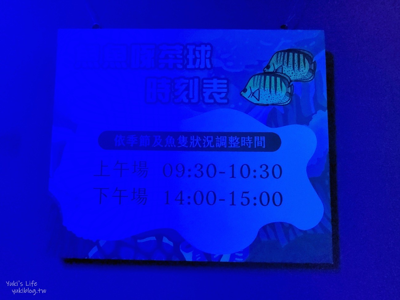 澎湖水族館》澎湖室內親子景點推薦必訪~門票・超值套票 - yuki.tw