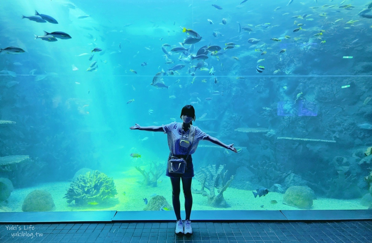 澎湖水族館》澎湖室內親子景點推薦必訪~門票・超值套票 - yuki.tw