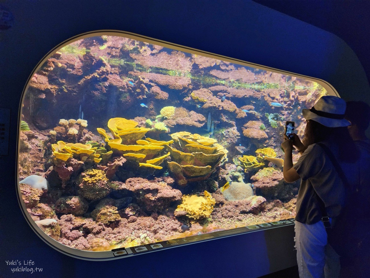 澎湖水族館》澎湖室內親子景點推薦必訪~門票・超值套票 - yuki.tw